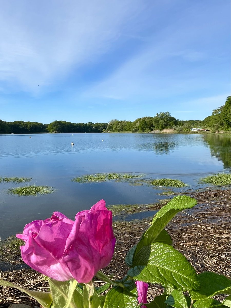 feli_casey's tweet photo. ~ it’s a beautiful morning 🎵~ have a great day, all ! ~ 💕 https://t.co/7hihBbybY8