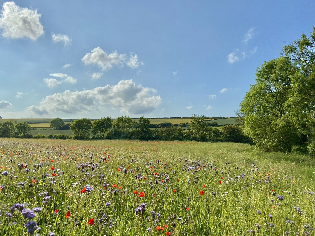 Yorkshire Wolds Weather tweet media