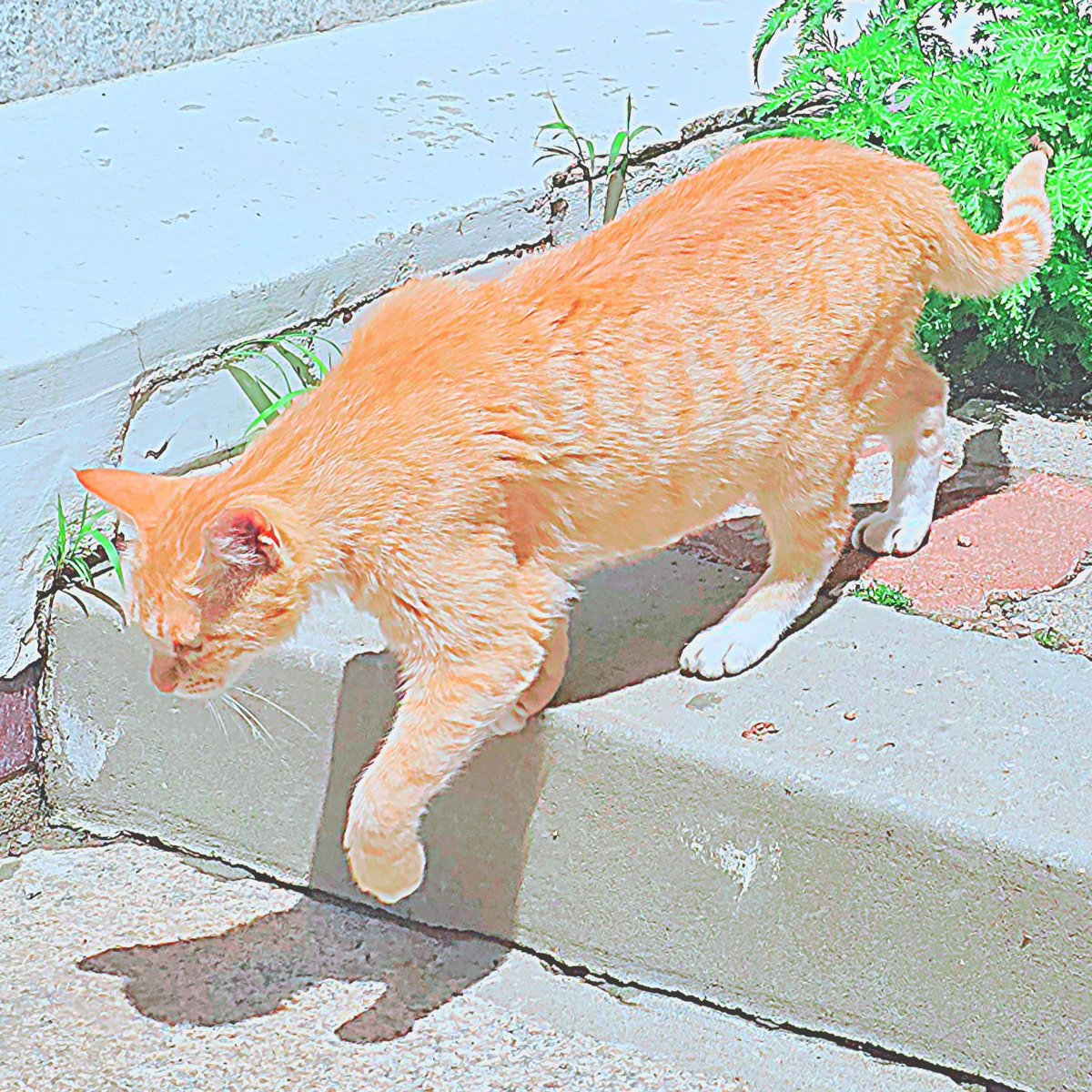S2_KAMI003's tweet photo. #ふふた https://t.co/esIIc4mmOF