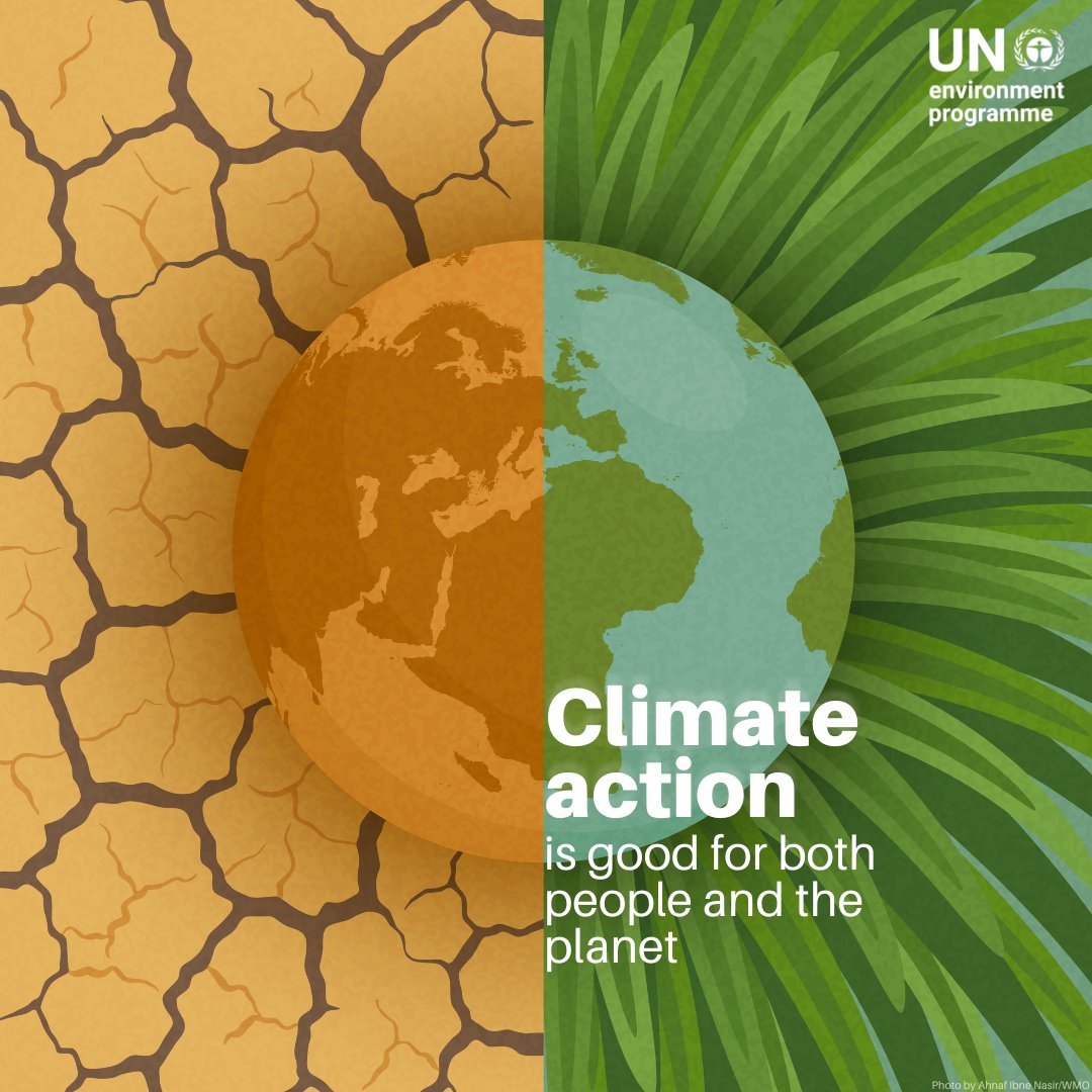 UN Environment Programme tweet media