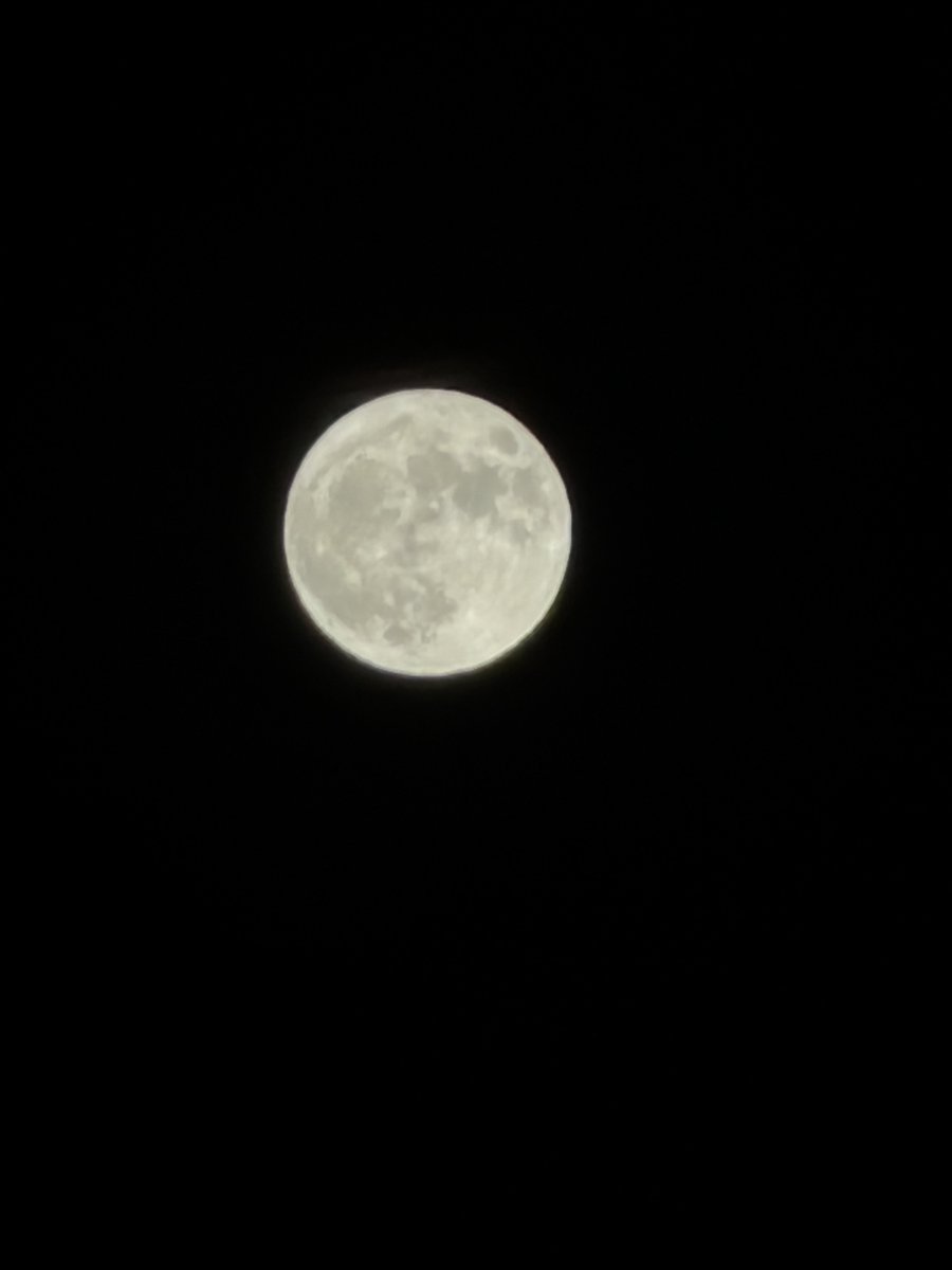 shomy094's tweet photo. 満月見えた！🌕
#ブルームーン https://t.co/r0HdyiCNiP