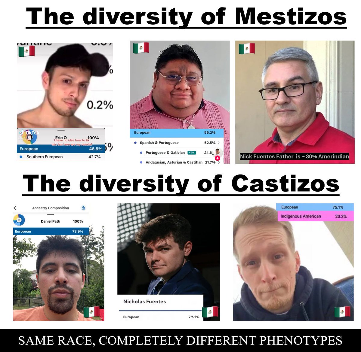 Nick Fuentes 23andme results groyper tweet media