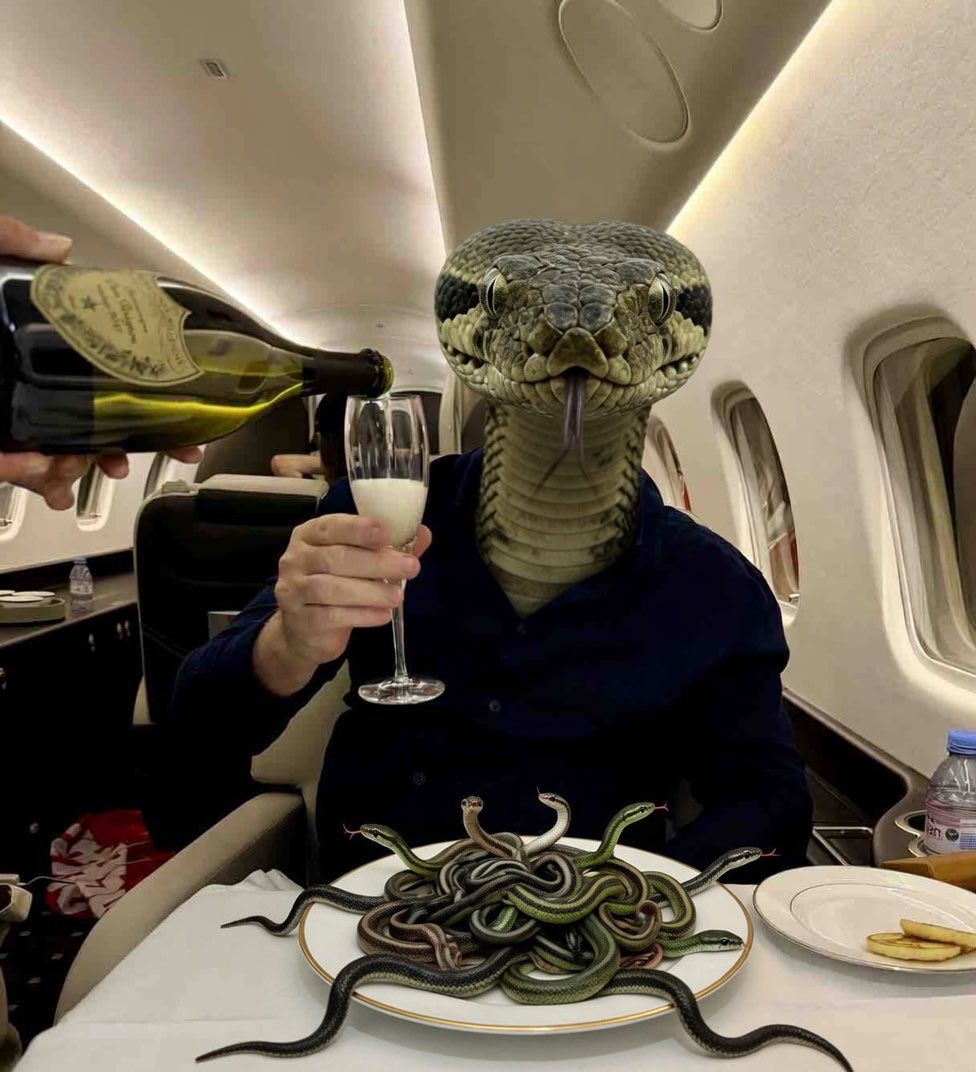 Zar_RedIssue's tweet photo. Meanwhile on a plane back from Budapest 🐍🚮 @piersmorgan https://t.co/tX3BeJGnmw