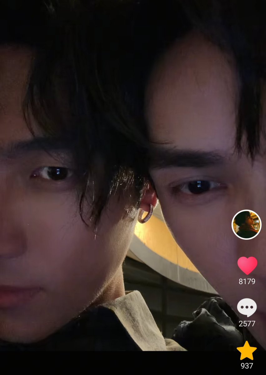 แมวส้มจิ 🧡💛 tweet media