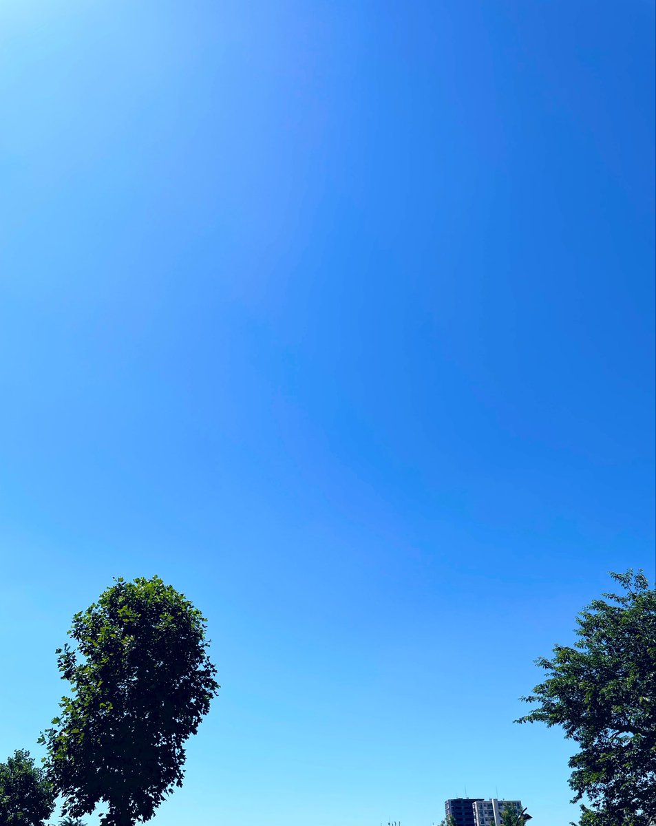 FamicammpBazzz's tweet photo. 週末は
快晴☀️＆真夏日💦
こんな雲一つない真夏日は
夏にはなかなかない気がします☀️☀️
炎天下はビールが進みます🍺🍻🍺🍻 https://t.co/ifDtIIjYEI
