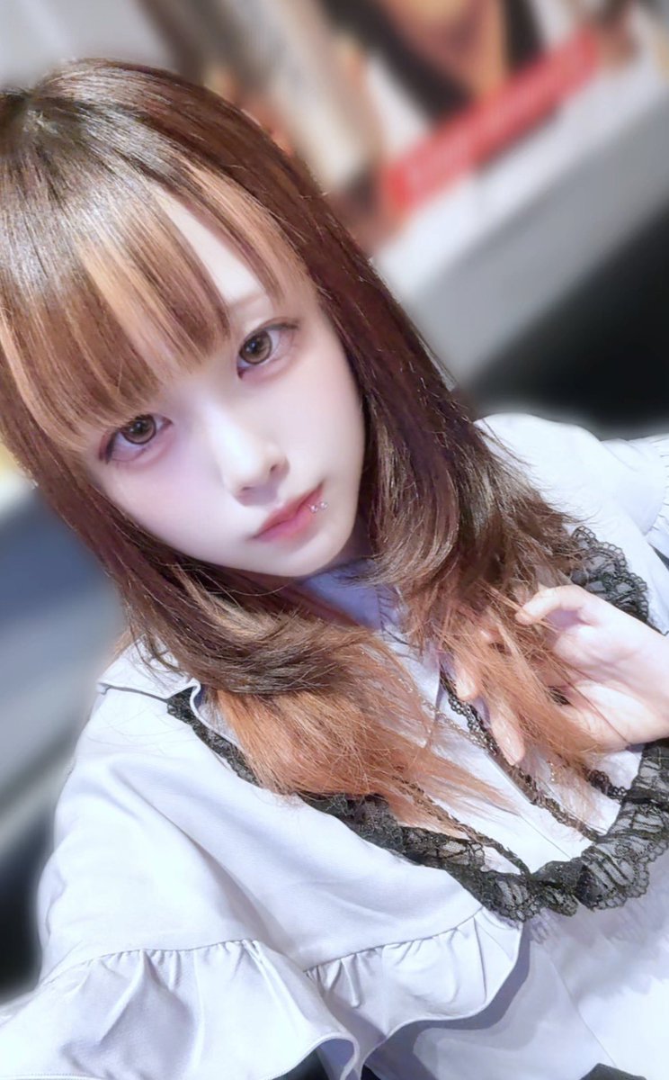 海百合 海月 tweet media