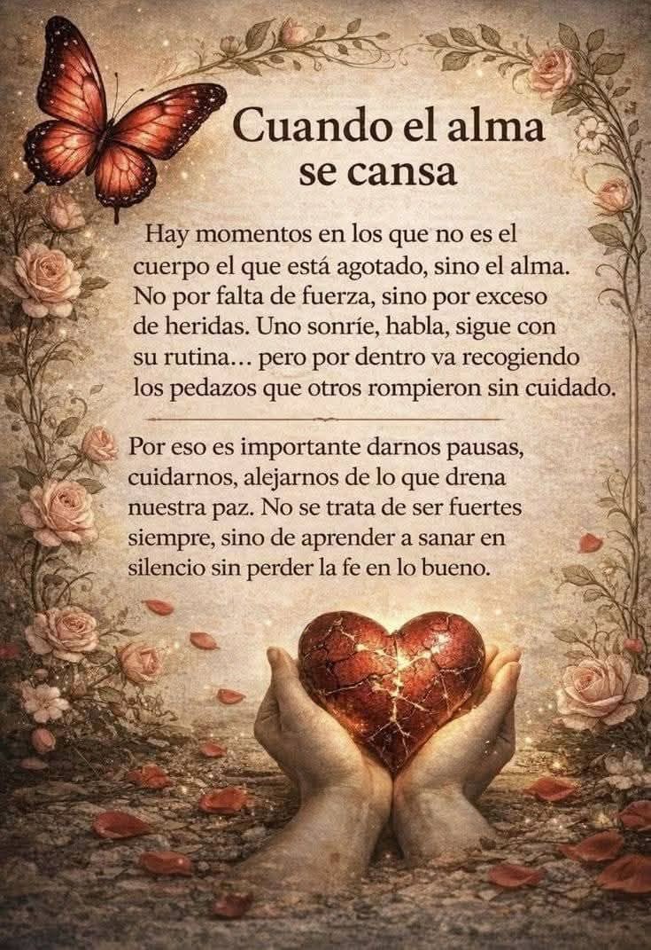 avanzandoacasa's tweet photo. https://t.co/S4bafc6KBy