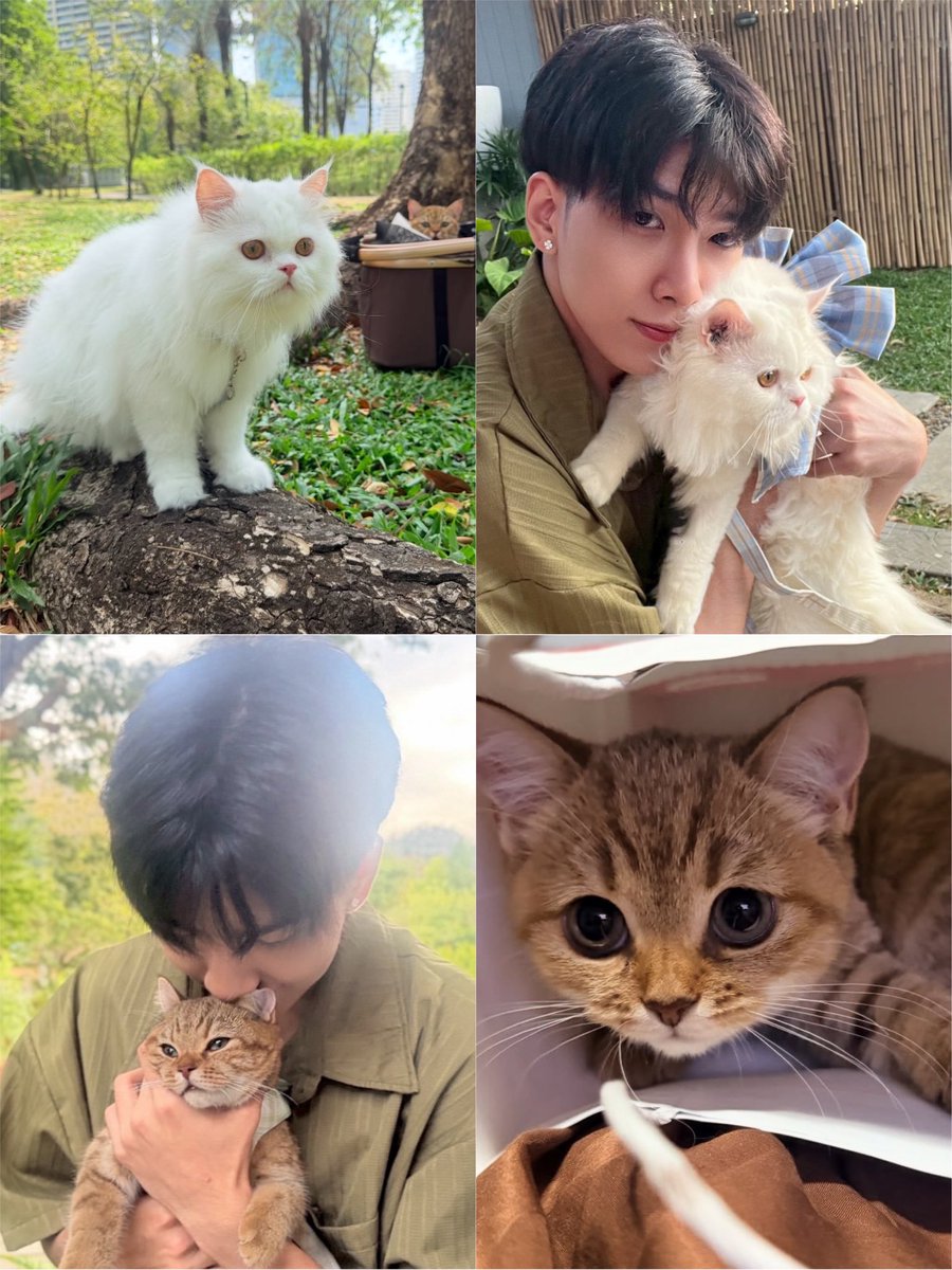 xplengpinx's tweet photo. อีกคนเลี้ยงลูกให้อยู่กับธรรมชาติ อีกคนเลี้ยงลูกให้เป็นแมวเซเลป ชัดเจนในเลนเรามากอ่ะเพอเซส 5555555555555 https://t.co/dY26fRkPIH