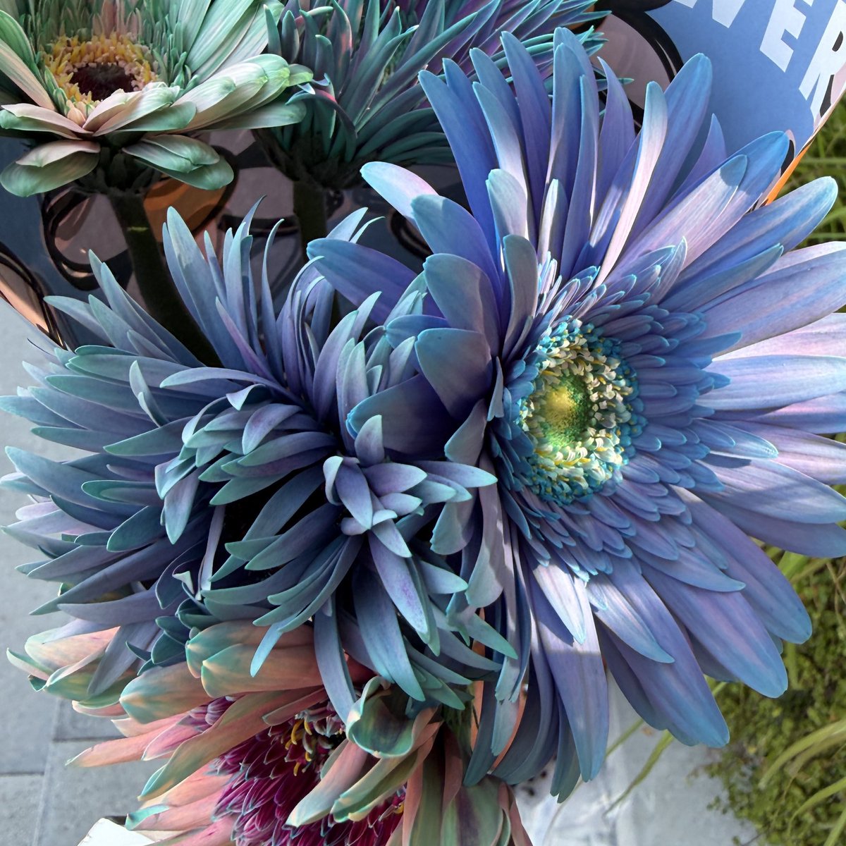 MONKNORI's tweet photo. ALL GOOD FLOWERSのお花 :) https://t.co/wdMEDtFDv1