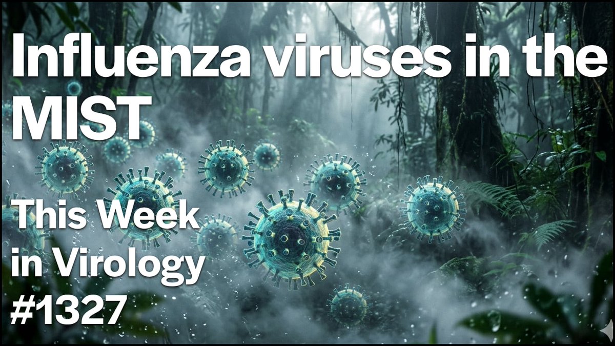 profvrr's tweet photo. Research on human influenza virus transmission that reveals heterogeneous expulsion of infectious virus into air, and how gut bacteriophages dictate inflammation heterogeneity through tuning phage-bacteria-sphingosine-intestine axis in Crohn’s disease. 📺 https://t.co/b5TwoNrajh https://t.co/WWRPRAd0VS