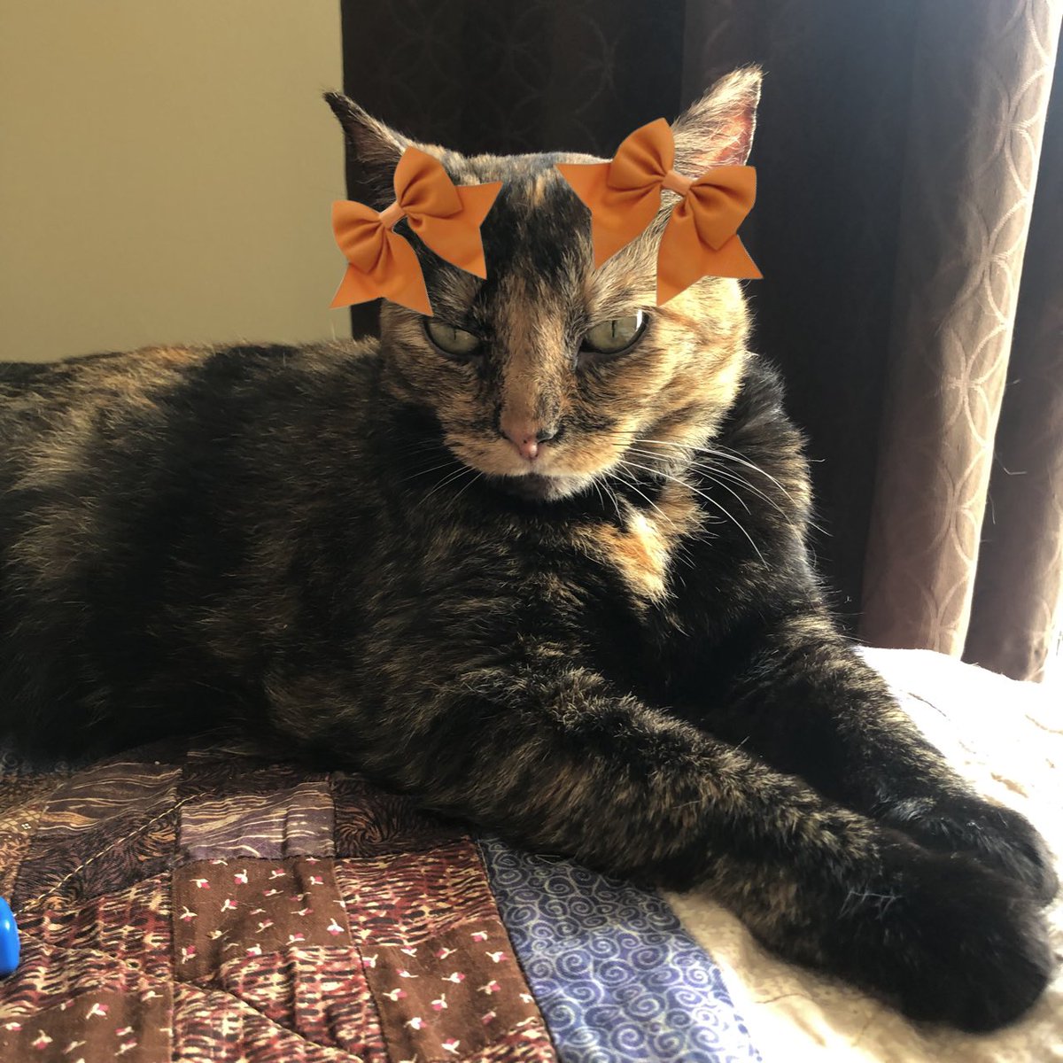 ChaiGerdes's tweet photo. Mom’s birthday is in one week! She would be so happy if I had 2,400 followers by June 7th! Can you help me make 153 new friends as a birthday gift for my Mom? https://t.co/mWSGtZofk0