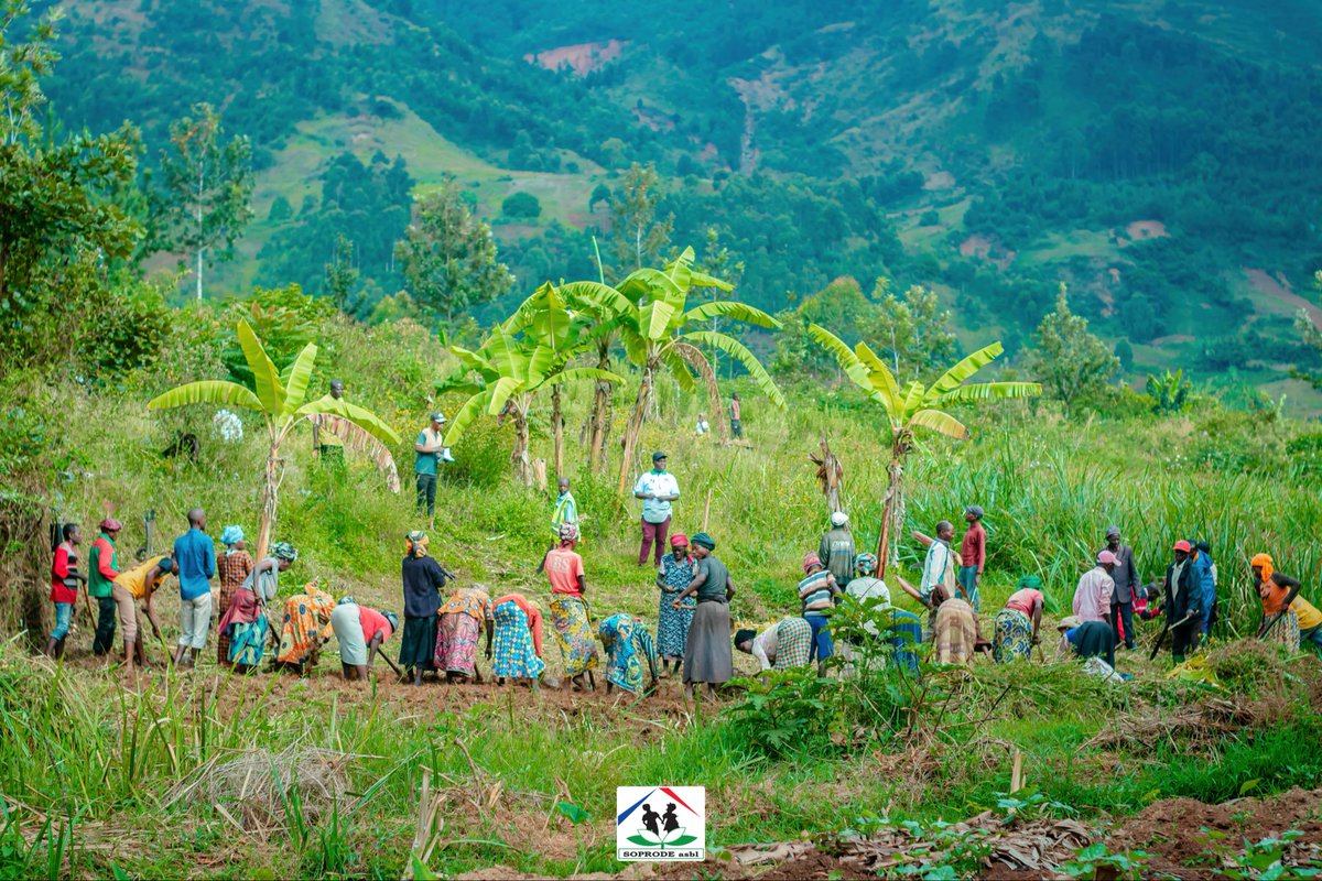 ASBL_SOPRODE's tweet photo. Objectif : produire des plantules pour la lutte antiérosive, l’#agroécologie, l’#agroforesterie et la restauration des terres.

🙏 Projet soutenu par @GGF sur recommandation de Pesticide Action Network International.

@G20GLI_ 
@crowdfundingicp 
@PAN_AFRIQUE 
@UNEP 
@UNCCDcso https://t.co/hfOFvUvwnA