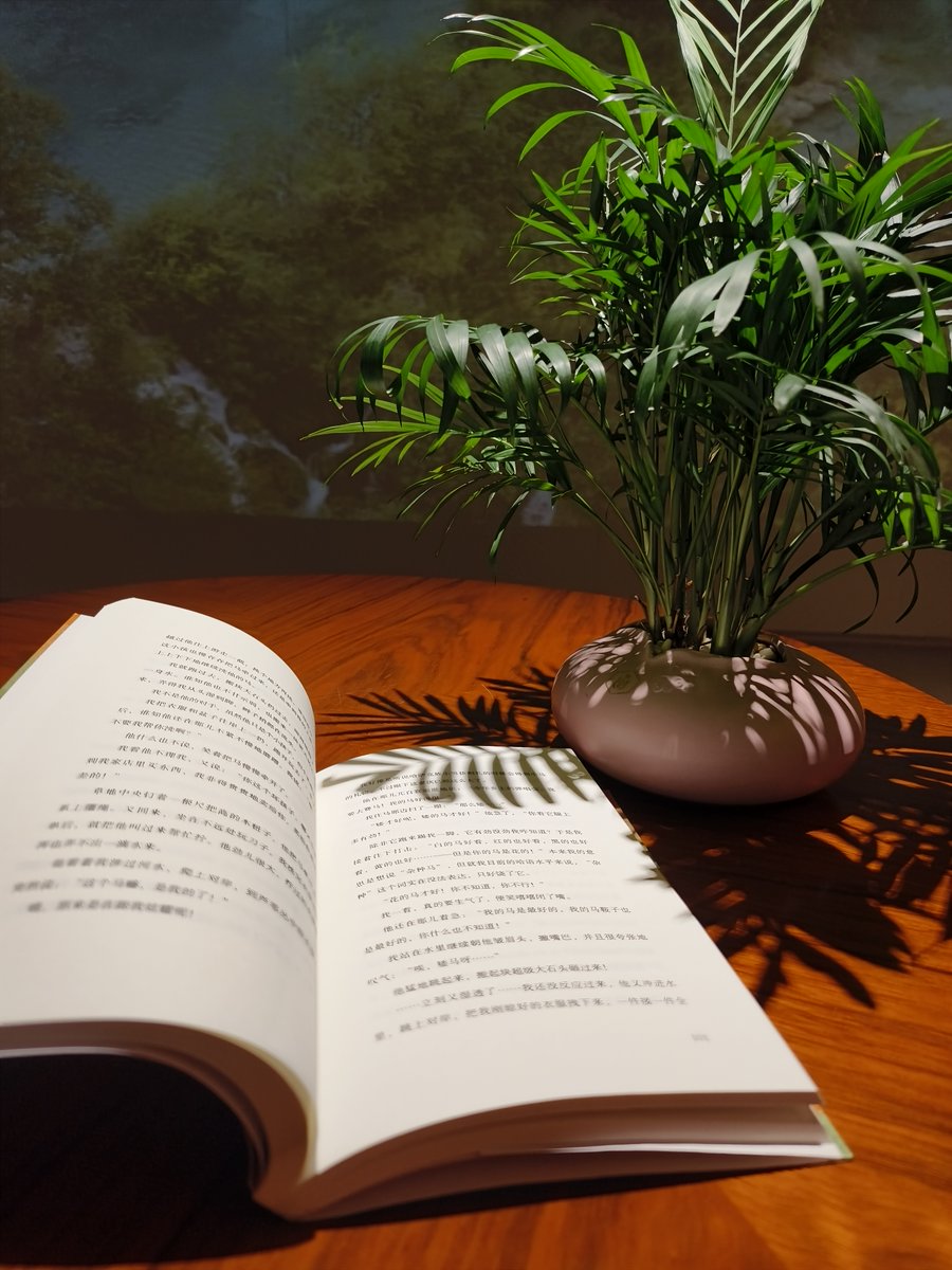 Vitalik69278641's tweet photo. Lost in a good book today—no plans, just pages that turn into adventures ， https://t.co/B22jb89Ryz