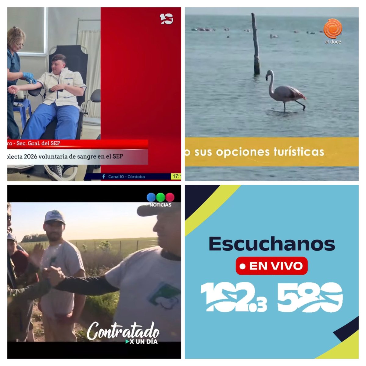 Diego tweet media