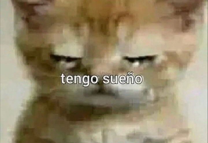 bekiiuuuv's tweet photo. yo después de dormir 15h https://t.co/q7pY5a0hlL