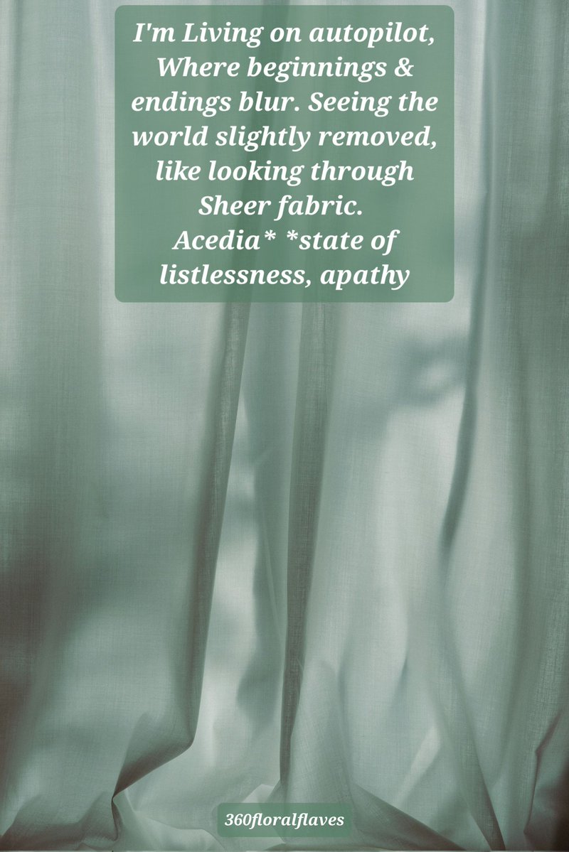 Morgan_R_R_Haze's tweet photo. #FairyTalePoets #UnchainedSymphonies #BraveWrite 
I'm Living on autopilot, Where beginnings &amp; endings blur. Seeing the world slightly removed, like looking through Sheer fabric. 
Acedia* *state of listlessness, apathy
360floralflaves https://t.co/WXYVtfABD0 https://t.co/Sabl5GWqkq