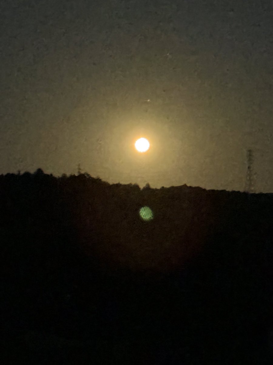 shukka01's tweet photo. 夕方外に出たら、月が出てました。
今月2回目の満月、ブルームーンですね。
見事でした。
#ブルームーン  #満月  #onceinabluemoon  #moon https://t.co/qR4GFZNNS5