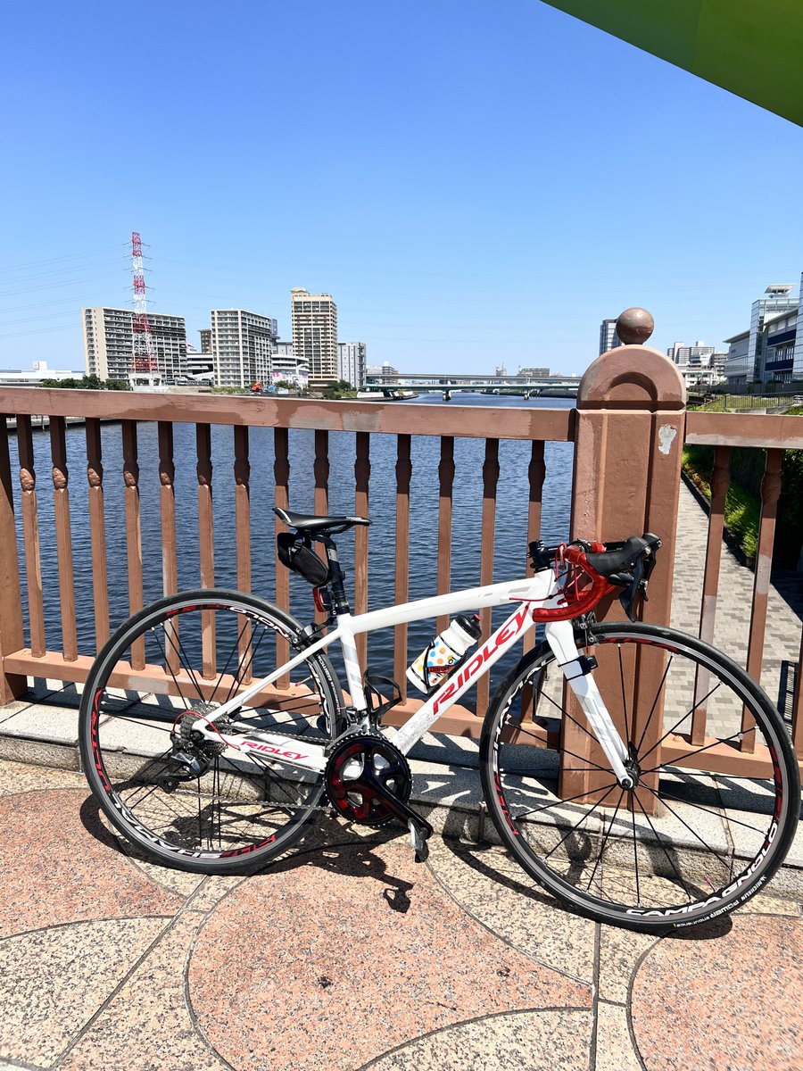 samaRIDLEY31's tweet photo. 🚲．．💨 https://t.co/jnWuMBfgLv