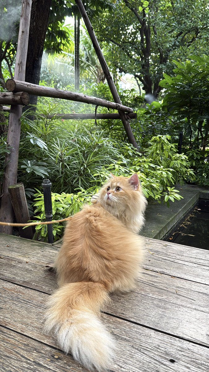 idcfuc's tweet photo. แวะมาอวดลูก https://t.co/zLGRQ4ZVKo