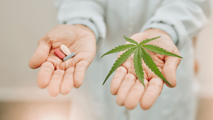 CarverJohns's tweet photo. Medical Cannabis Consumers Reduce Their Use of Prescription Opioids

...reduction is clinically significant and concordant with an emphasis on slow opioid dose reduction over years rather than quick cessation in patients with chronic pain...

https://t.co/eTlU8Z1Yb3 https://t.co/E1ouq0Xaim