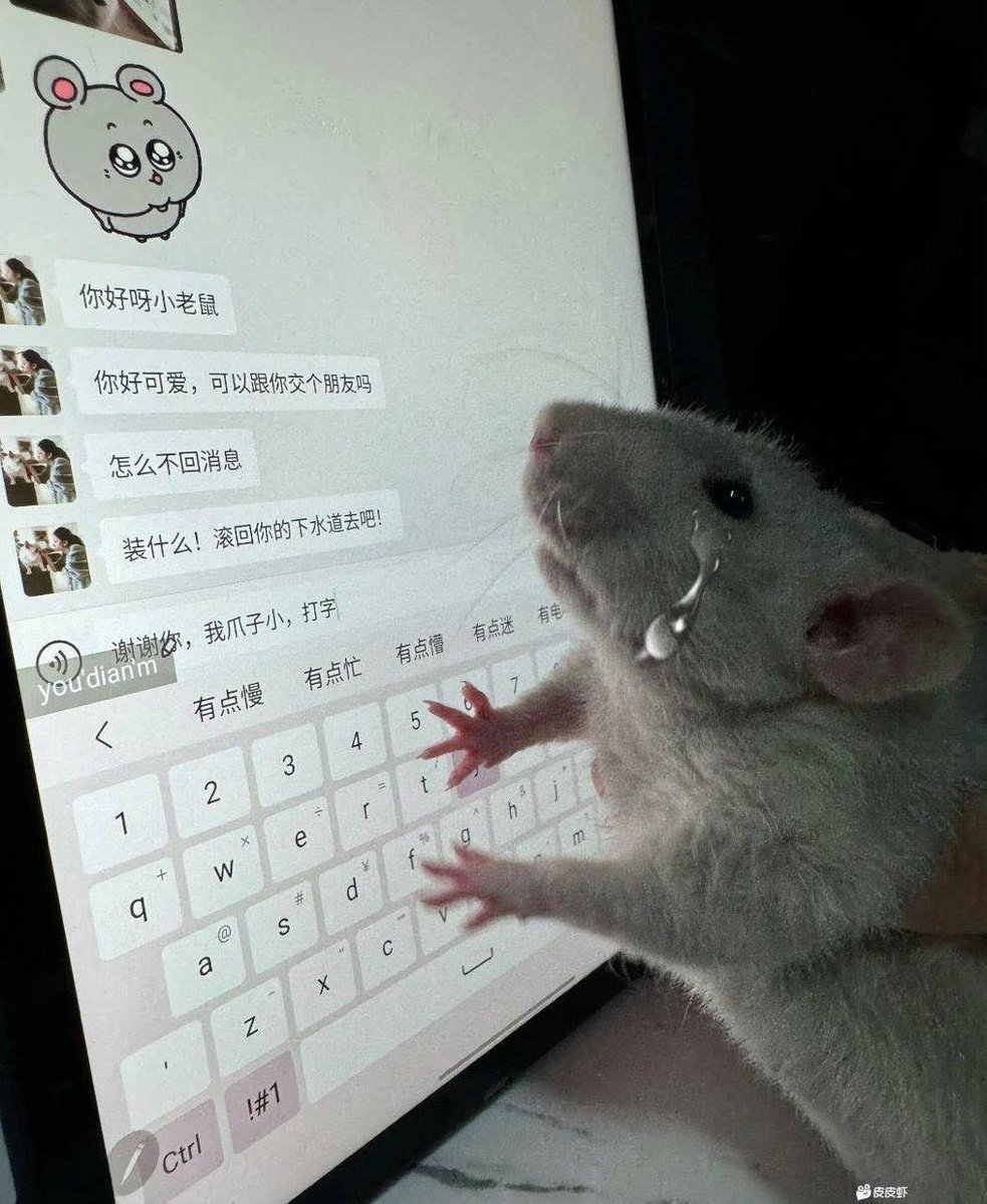 smallhezi's tweet photo. 无语  没人理我........ https://t.co/Xwot2fu53F