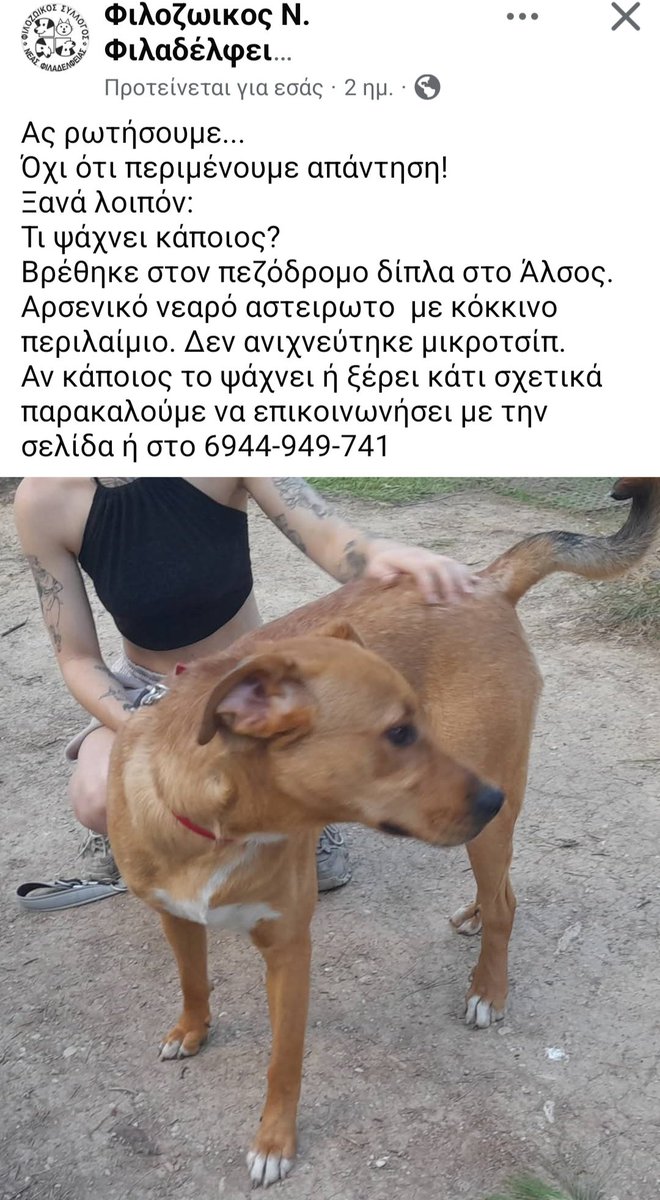 Χλε_Μπονα Σαμερ tweet media