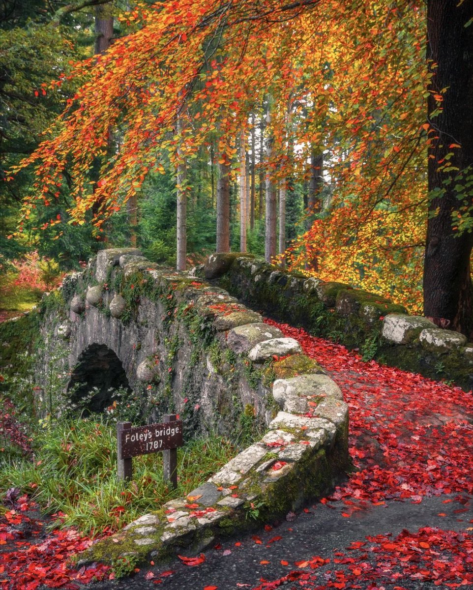 LEA86680530's tweet photo. Foley’s Bridge 
Tollymore Forest Park
Ireland 🇮🇪 https://t.co/3NZeapq4K4