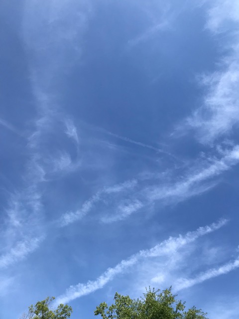 babf4ever's tweet photo. Daily geo engineering toxic chemical filth poisoning, always covering our life sustaining sun. 5/31/26@ 9:00am NC. Poisoning us 24/7.  We must stop these demonic criminals.
@TheGeoFight_com
@BGatesIsaPyscho
@FedBanClimEng
@nogps1
@LegendreKristy
@cjbakermd
@NCSkyEyes
@VigilantFox https://t.co/EodPOdY6yO