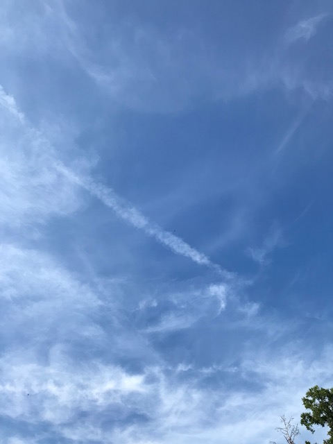 babf4ever's tweet photo. Daily geo engineering toxic chemical filth poisoning, always covering our life sustaining sun. 5/31/26@ 9:00am NC. Poisoning us 24/7.  We must stop these demonic criminals.
@TheGeoFight_com
@BGatesIsaPyscho
@FedBanClimEng
@nogps1
@LegendreKristy
@cjbakermd
@NCSkyEyes
@VigilantFox https://t.co/EodPOdY6yO