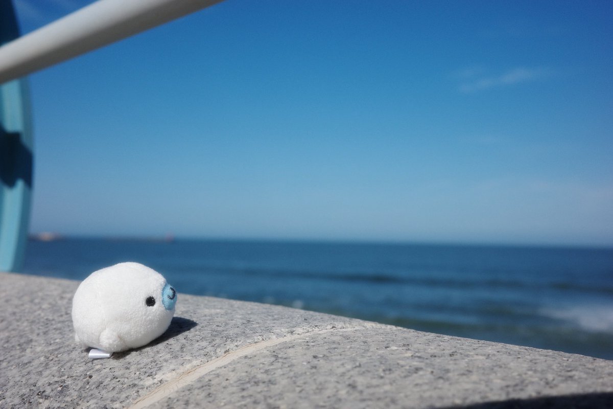 nb_A24's tweet photo. まんまるまめゴマと海 https://t.co/RITAawIz4I