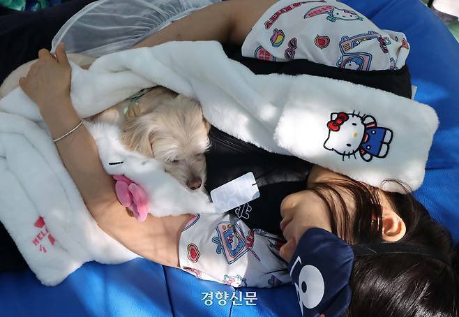 stitch_pololo's tweet photo. น่ารักมากกก ที่เกาหลีวันนี้มีแข่งนอนกัน แล้วไม่ใช่แค่ให้คนไปนอนอย่างเดียว แต่!!ให้พาน้องหมาไปนอนด้วย ไปด้วยกันเจ้าของ 1 คนกับน้อง 1 ตัว ไปนอนรับธรรมชาติกันที่Seoul Forest แต่ละรูปคือน่ารักมากกกกก https://t.co/Uu210mthVl