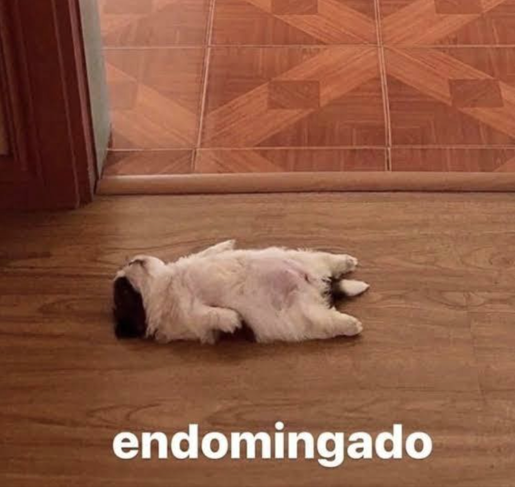 Guarromantico_'s tweet photo. Mood: https://t.co/XYU2PFezNg