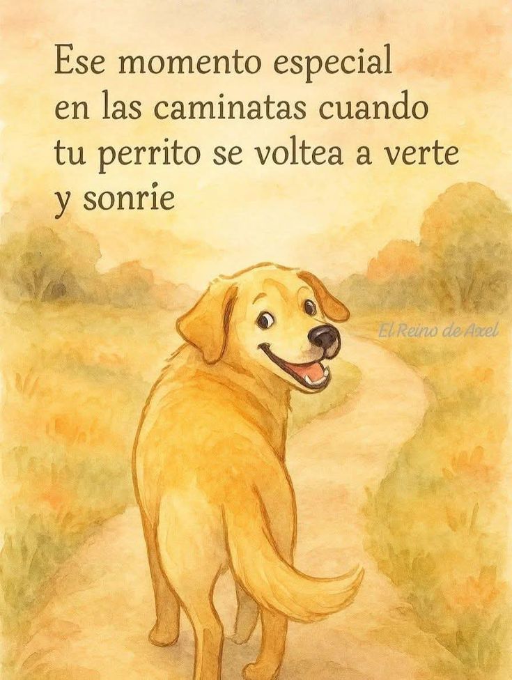 rey_latino33087's tweet photo. https://t.co/GnQmluqwR6