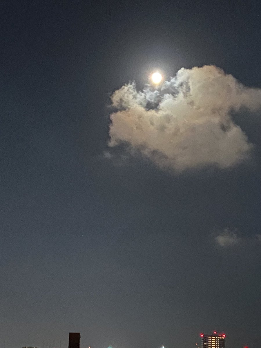 porkbits08200's tweet photo. 今日満月🌕 https://t.co/punDTcRGNx