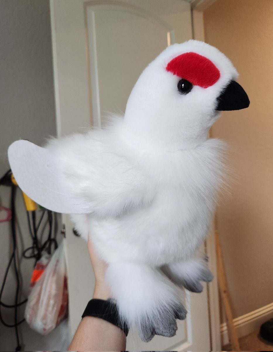 VintageWilds's tweet photo. AWEBO? First draft ptarmigan is a success! https://t.co/ZReigKJYyR