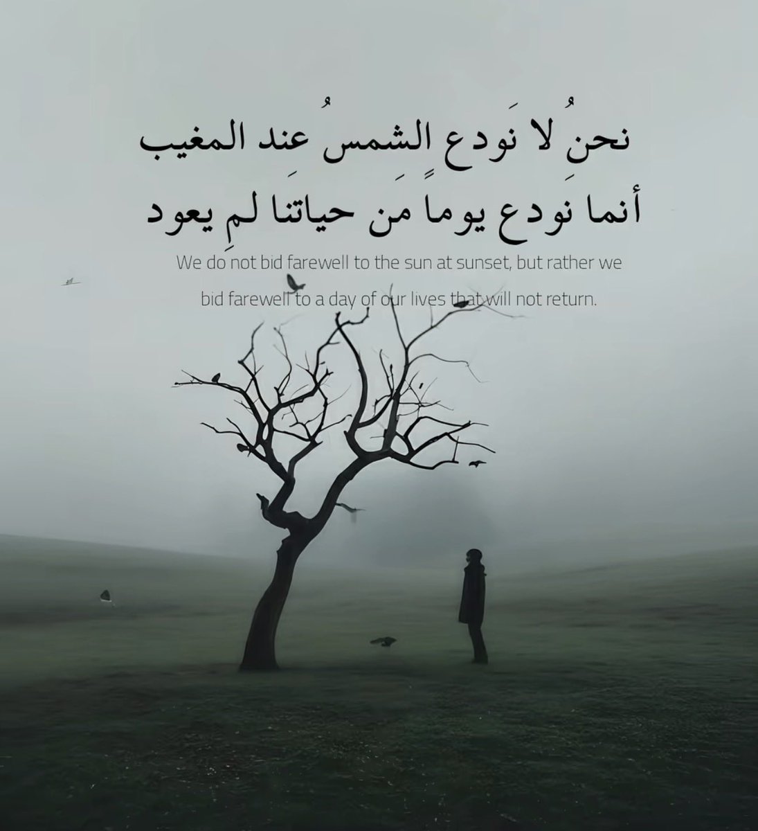 heshammajde's tweet photo. https://t.co/OA3gbkCzv7