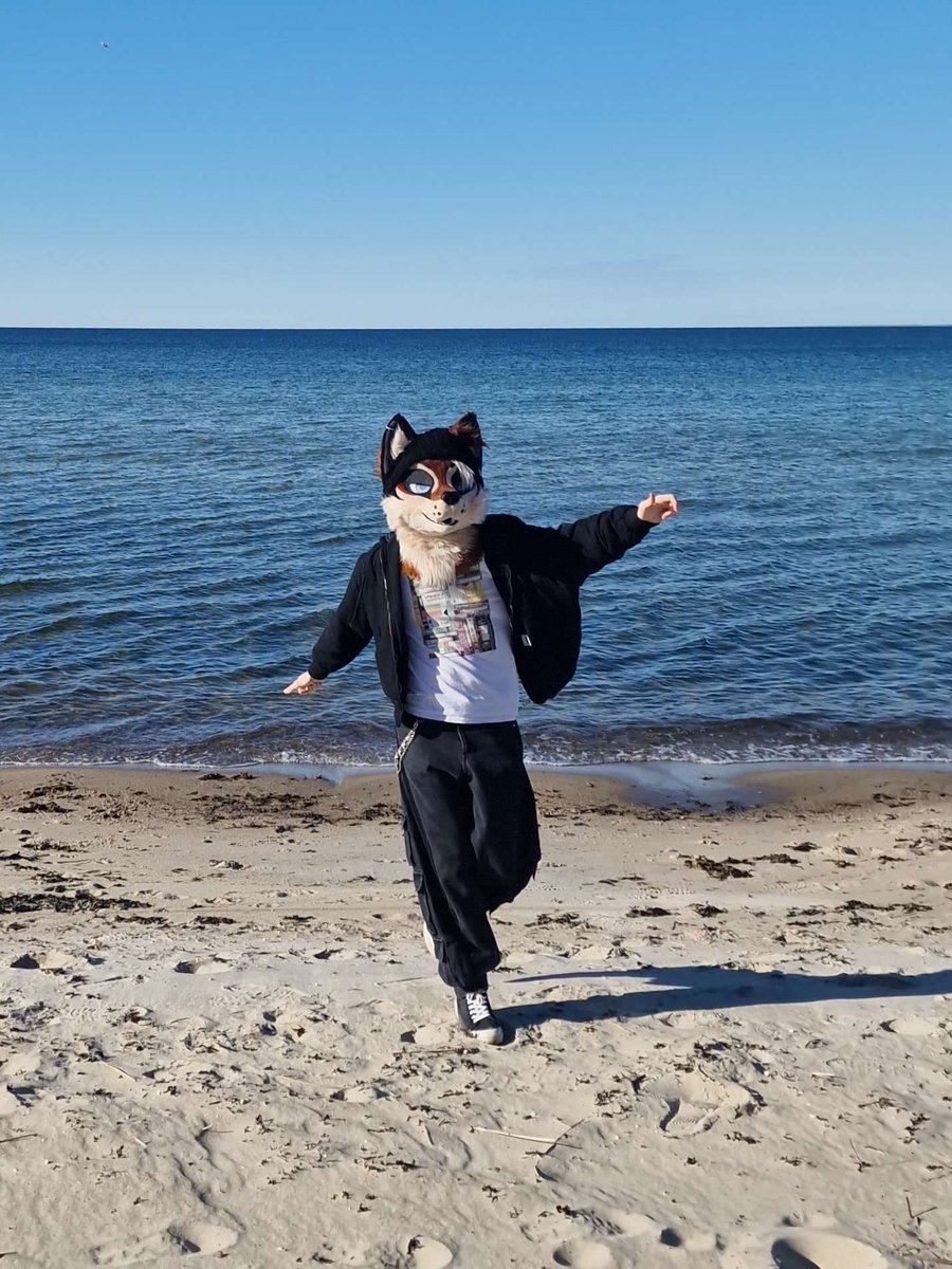 nibbydev's tweet photo. the ever majestic whimsical wolp https://t.co/xc1ddKLj6o