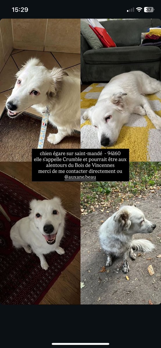 reinedumalaise's tweet photo. Vous pouvez rt please :((( https://t.co/ZHwr5EATOl
