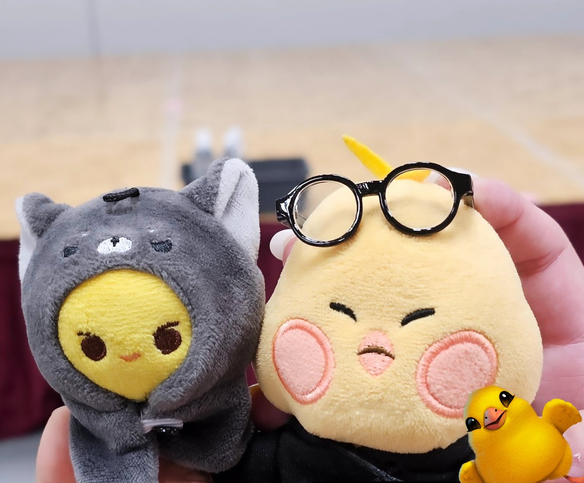 2Do_Luv's tweet photo. 미키핑 보고싯퍼요 ㅜ ㅜ ! ! ! https://t.co/hi8wuVwefi