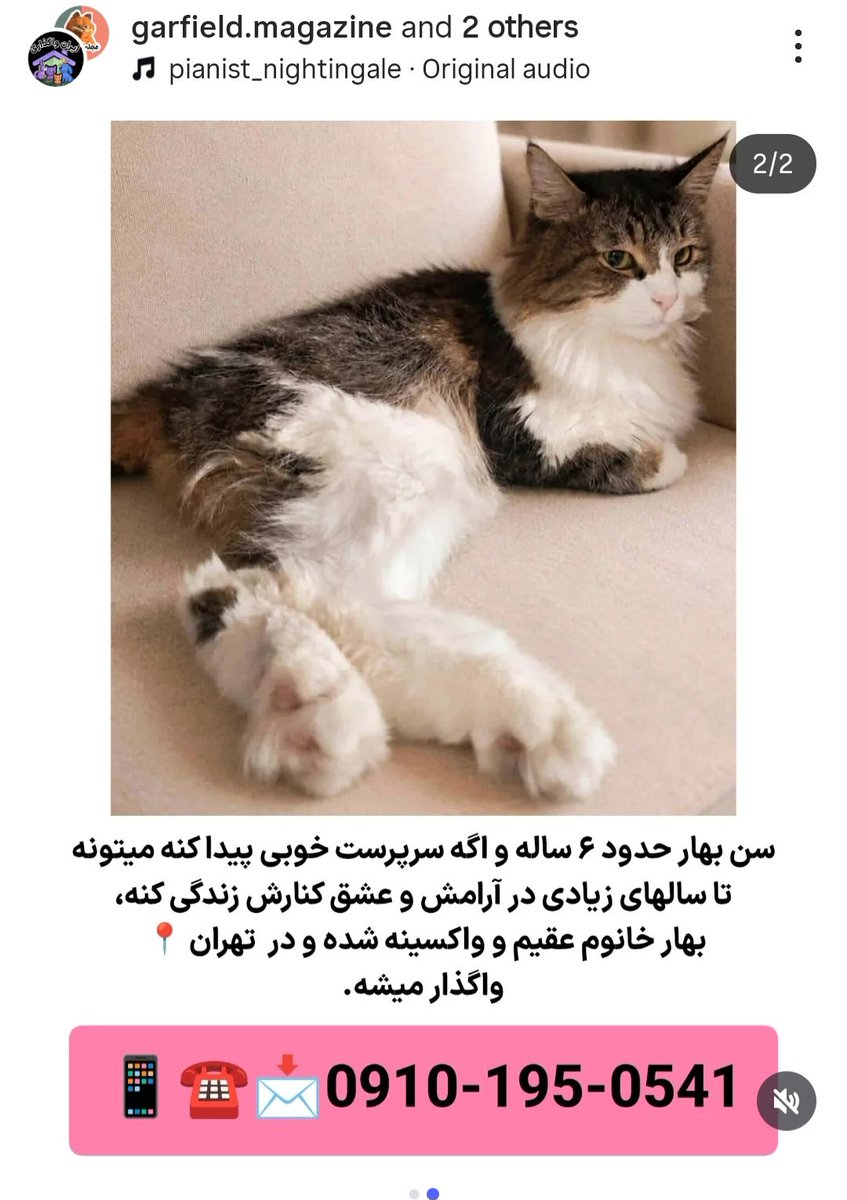 mona tweet media