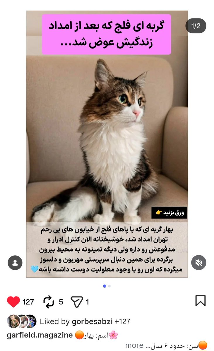 mona tweet media