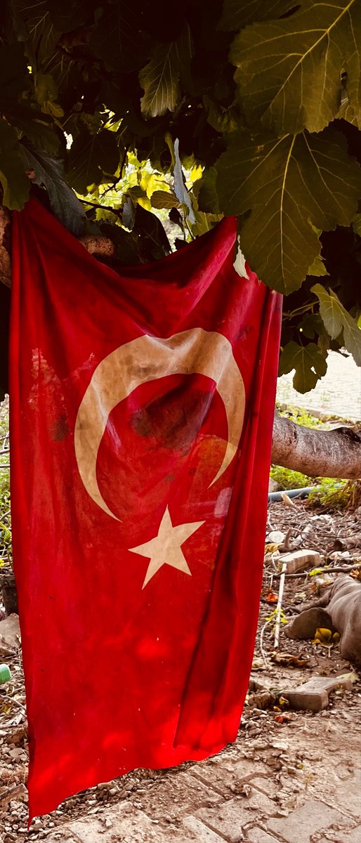 idil_reyhan's tweet photo. Yaşanan selden geriye kalan en güzel, en gururlu kare... Babam  sel sularının çamuru içinde kalan bayrağımızı Asi nehrinin kenarından getirip elleriyle yıkayıp astı https://t.co/3ltPBbTH23