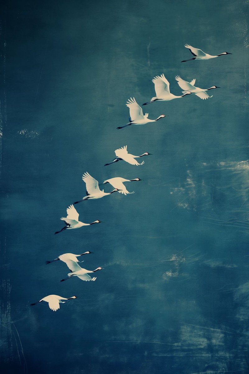Gitana1369877's tweet photo. As you leave behind what was never meant for you, you finally find the sky you were always meant to fly in. https://t.co/qsfqu0vUla