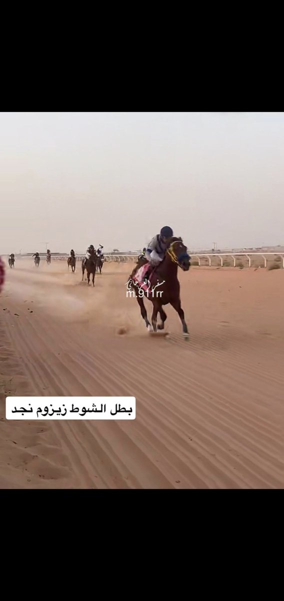 almedan8's tweet photo. في سباق الأمس برماح للعسايف🔥🔥🔥🔥🔥🔥

•المهر زيزوم نجد ابن سترونق مانديد الفحل المملوك للعبدالوهاب فاز بكأس بن صمهود🏆 قاطعاً مسافة 1200م بـ 1:25:53
ووصلت سومته 400 الف ريال٠💰🚨💰

•المهرة لولو لين ابنة كوزينق بيل الفحل المملوك لعناية قطعت مسافة 1200م بـ 1:27:89
على كأس الماضي🏆
ووصلت سومتها 70 الف ريال