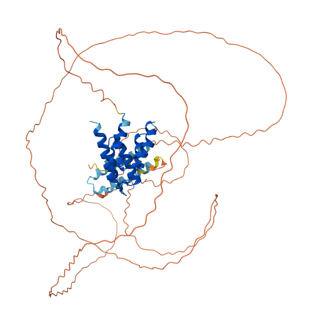 anthonygitter's tweet photo. @ebetica I examined more disordered proteins, and it seems to be widespread. Here is O94687 as an example with AlphaFold2, AlphaFold3, and ESMFold2.

My examples repo: https://t.co/FyHhWJMRBD

GitHub issue: https://t.co/PfLab4to8j https://t.co/mmwK9N9q2Y