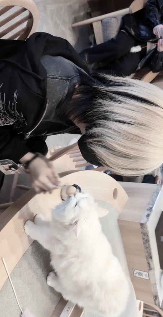 y732_____'s tweet photo. この半年で髪型は変わり髪色は変わり。
福岡県民から千葉県民になりましたよと。 https://t.co/tKWXoZIeoA