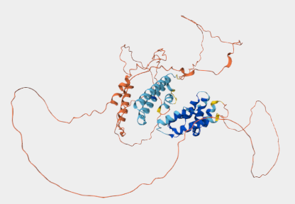 anthonygitter's tweet photo. @ebetica I examined more disordered proteins, and it seems to be widespread. Here is O94687 as an example with AlphaFold2, AlphaFold3, and ESMFold2.

My examples repo: https://t.co/FyHhWJMRBD

GitHub issue: https://t.co/PfLab4to8j https://t.co/mmwK9N9q2Y