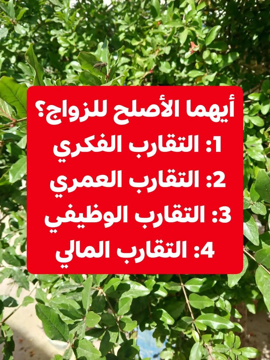 إيـث tweet media