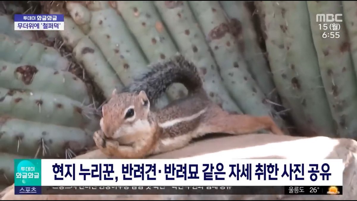 힐링짤모으는곳 tweet media