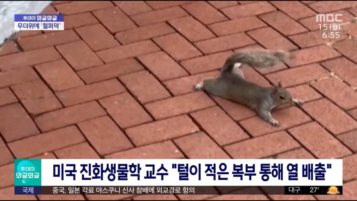 힐링짤모으는곳 tweet media